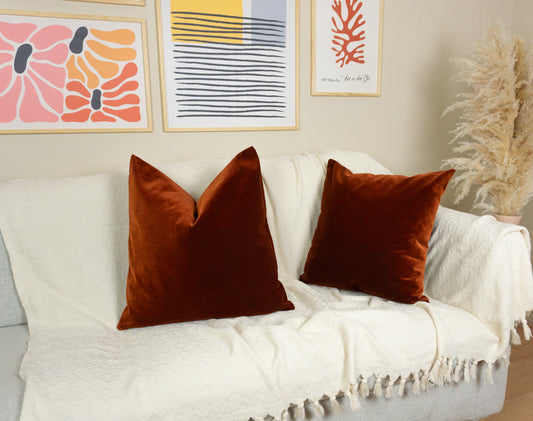 Velvet Terracotta Cushion