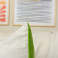 Colourblock Velvet Cushion Cover Apple Green Velvet Cozy Linen Colorblock Cushion Cover Modern Home Decor Pillow Covers (All Sizes)
